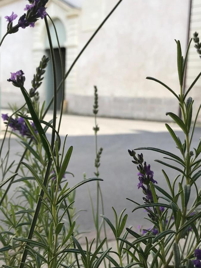 Fontevraud Maison De Ville Bnb Ngoại thất bức ảnh
